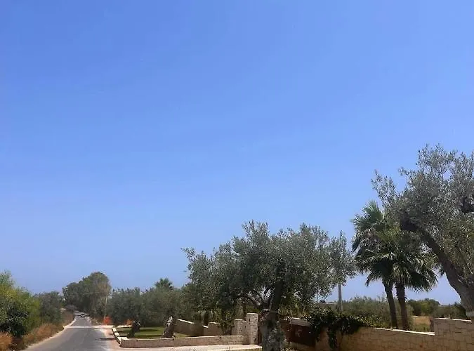 Amare-marzamemi * Reitani